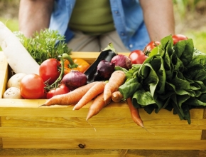 2_comida-organica-no-se-trata-simplemente-de-una-moda-es-un-modo-de-vivir.jpg